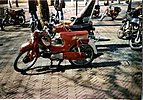 c31001.jpg