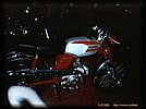 ss08.jpg